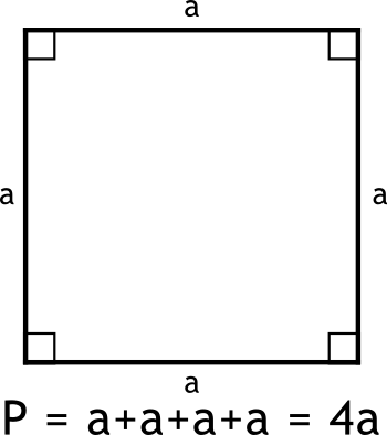 Perimeter of a Square